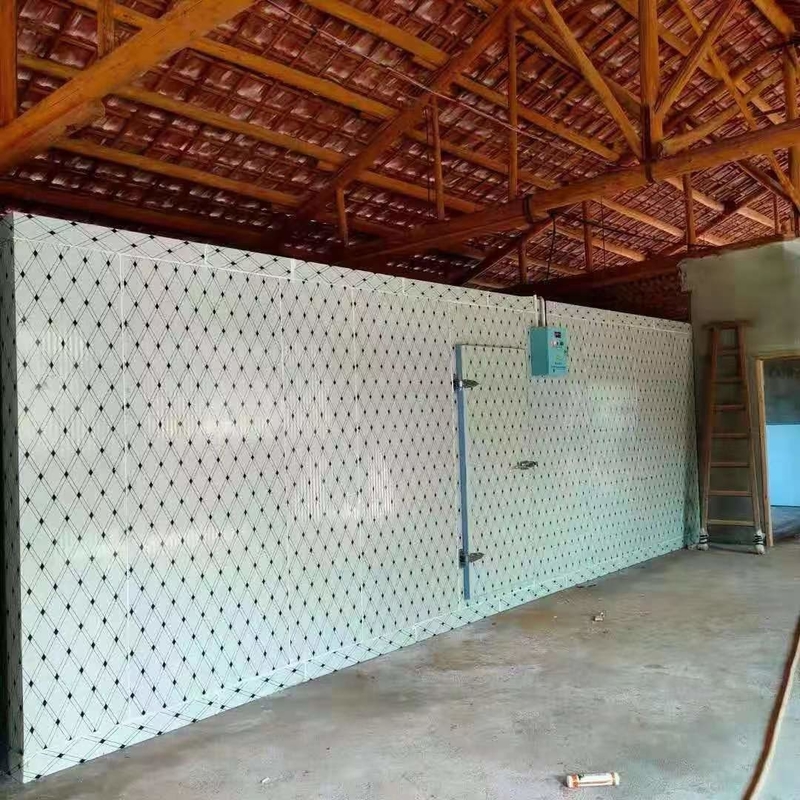 কোল্ড স্টোরেজ রুম ওয়াক-ইন এর কুলার ওয়াক-ইন ফ্রিজার রেফ্রিজারেশন সিস্টেমের সাথে
