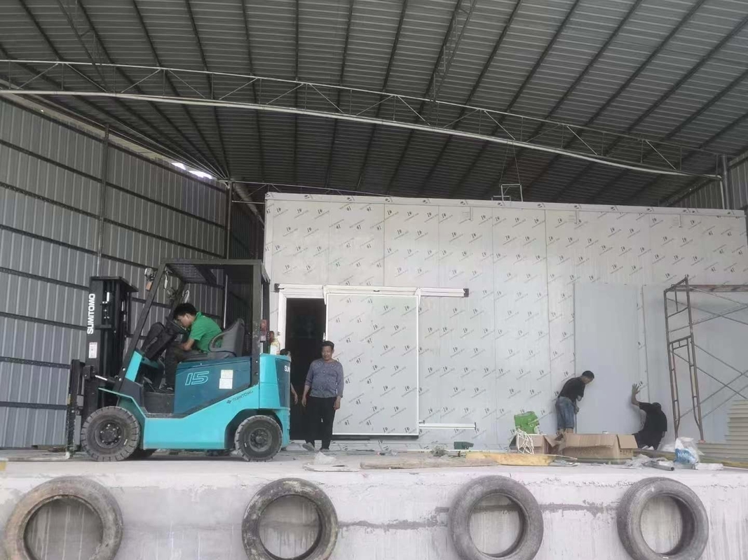 বাণিজ্যিক খাদ্য সংরক্ষণাগার কোল্ড স্টোরেজ রুম ইনডোর ওয়াক-ইন ফ্রিজার সঙ্গে মেঝে