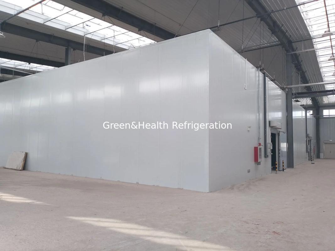 মডুলার ডিজাইন ওয়াক ইন চেম্বার কোল্ড স্টোরেজ কুলার রেফ্রিজারেটর গুদাম বিক্রয়ের জন্য