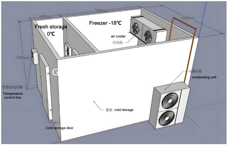 কাস্টমাইজড বাণিজ্যিক ওয়াক ইন ফ্রিজার রেফ্রিজারেটেড কোল্ড স্টোরেজ রুম কসাই মাংস প্রক্রিয়াকরণের জন্য