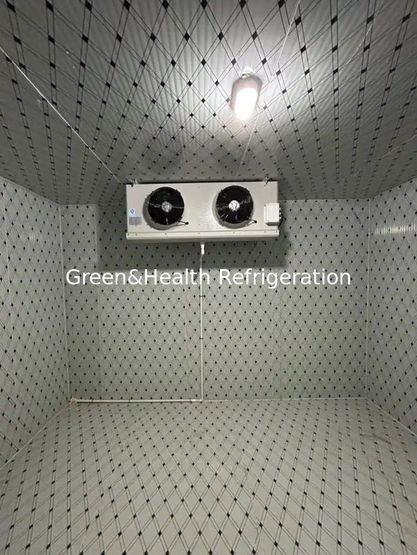Customizable Size Cold Room Walk In Freezer With PU Panel And Condenser Unit
