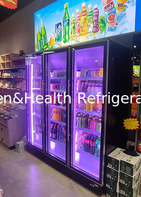 বাণিজ্যিক উল্লম্ব বিয়ার ডিসপ্লে কুলার ডাবল ডোর পানীয় রেফ্রিজারেটর