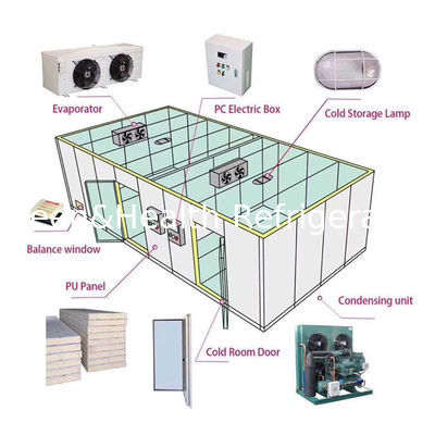 বিভিন্ন অ্যাপ্লিকেশনের জন্য ছোট থেকে বড় ধারণক্ষমতা কোল্ড স্টোরেজ রুম