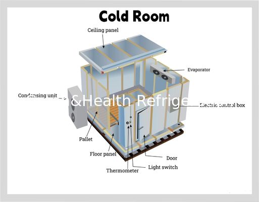 পিইউ প্যানেল খাদ্য কোল্ড স্টোরেজ রুম রেস্টুরেন্ট বাণিজ্যিক রান্নাঘর ওয়াক ইন ফ্রিজার