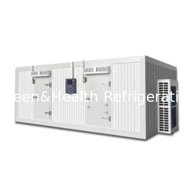 দীর্ঘস্থায়ী নিরোধক প্যানেল সহ কাস্টমাইজযোগ্য ঠান্ডা রুম ওয়াক-ইন ফ্রিজার